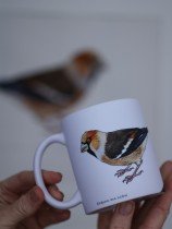 Pavāru mājas keramikas krūze - Dižknābis