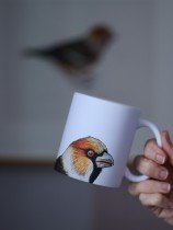 Pavāru mājas keramikas krūze - Dižknābis