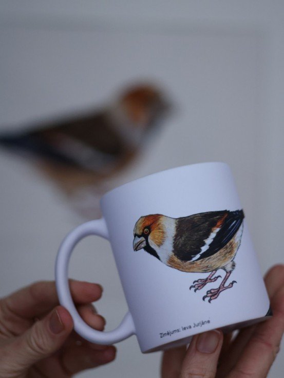 Pavāru mājas keramikas krūze - Dižknābis