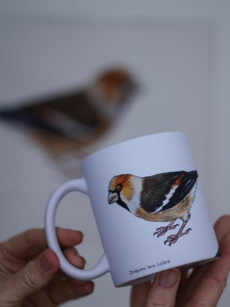 Pavāru mājas keramikas krūze - Dižknābis