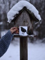 Pavāru mājas keramikas krūze- Melnais meža strazds