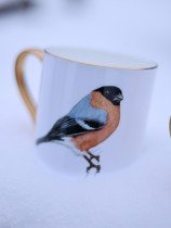 Pavāru mājas krūze ar apzeltijumu - Svilpis