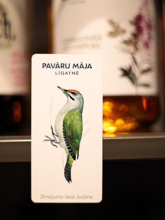 Pavāru mājas magnēts- Pelēkā dzilna