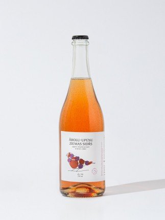 Apple - blackcurrant winter cider