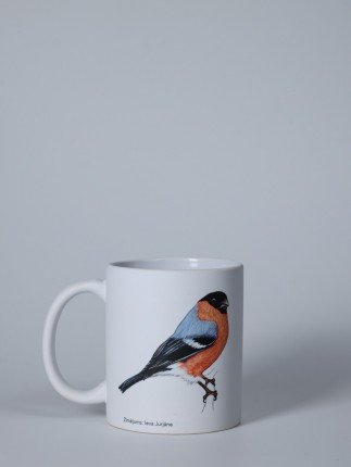 Matte Ceramic Mug with Bullfinch Illustration