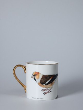 Porcelain mug featuring an illustration of a hawfinch