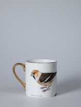 Porcelain mug featuring an illustration of a hawfinch