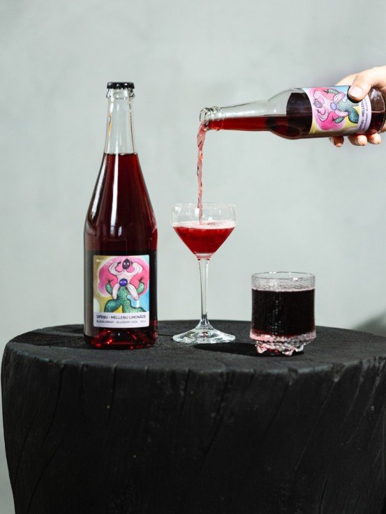 Blackcurrant - blueberry soda