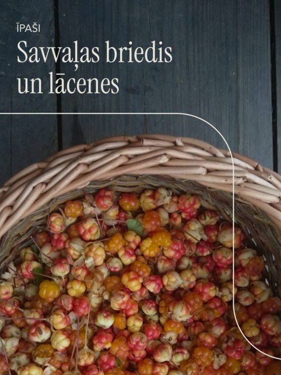 Meža Garšu Vakariņas: Savvaļas Veltes &amp; Briedis- 29.01.2026