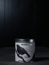 Coffe Marmalade / Eurasian Blackbird