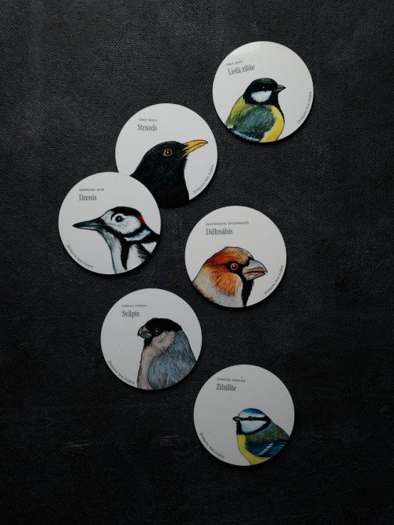 Coaster with Hawfinch Illustration